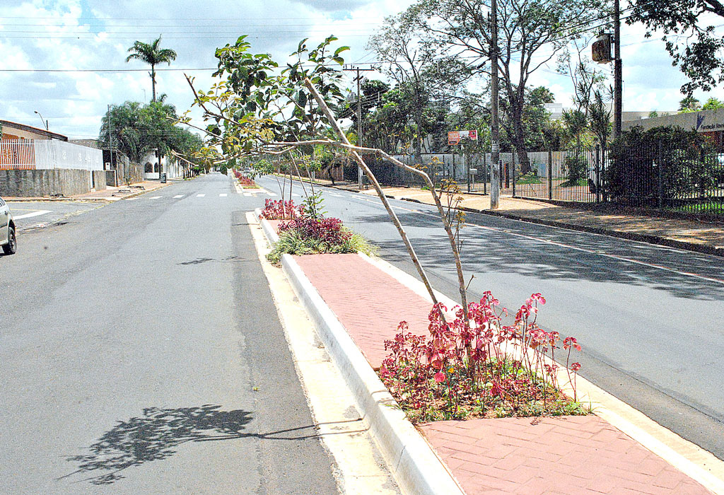 Foto Do Dia - Cuidados 