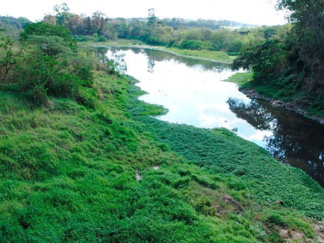  - Rio Piracicaba registra baixo nível  e aumenta mau cheiro 