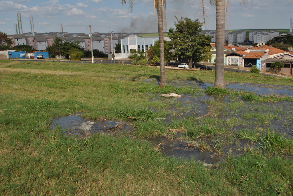 Foto Do Dia - Vazamento de esgoto