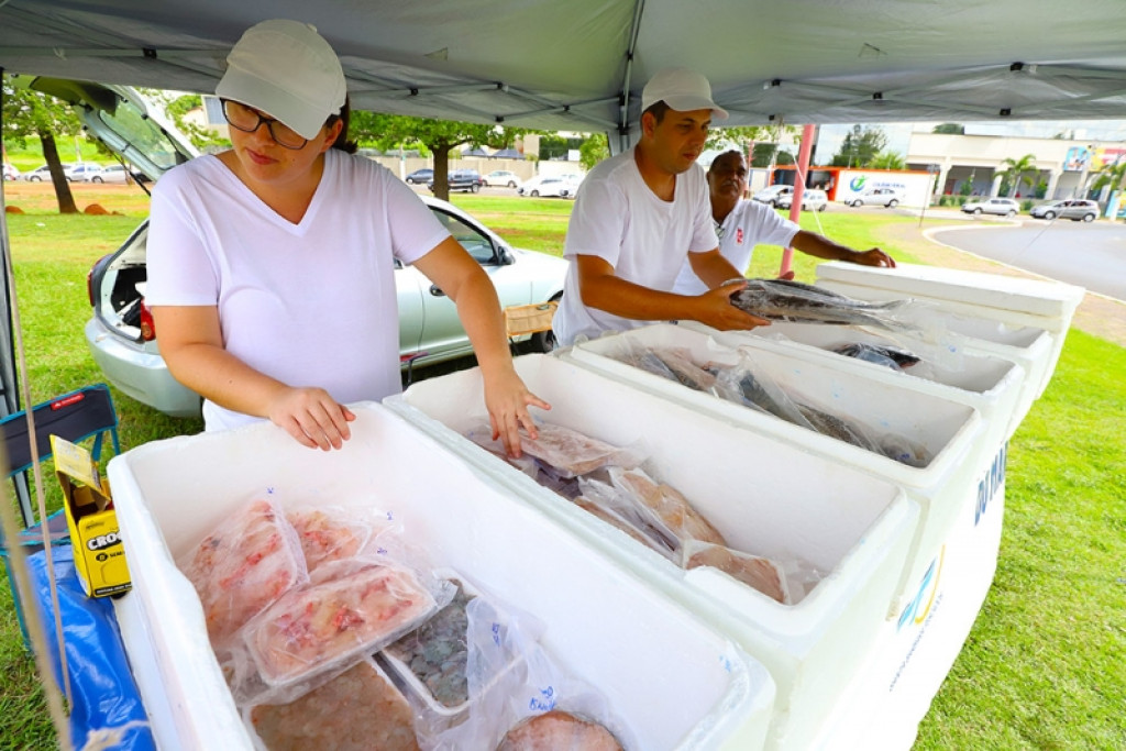 Cidades - Varejão de Peixes de Santa Bárbara acontece em seis locais de 5 a 7 de abril