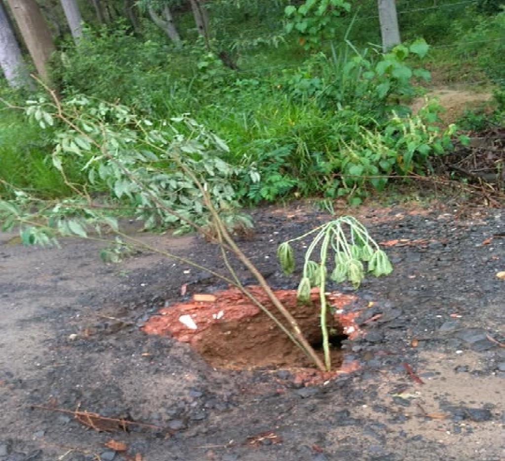 Política - Joi sugere melhorias em 15 estradas rurais 