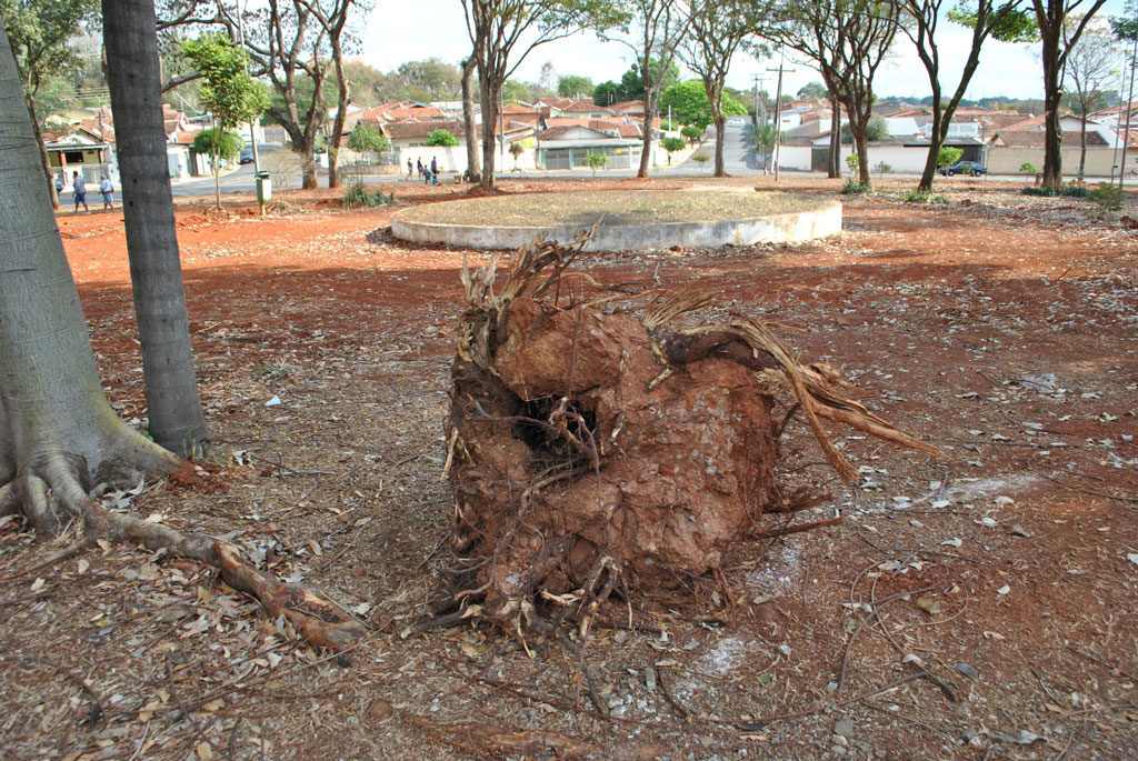 Foto Do Dia - Praça do 31 de Março