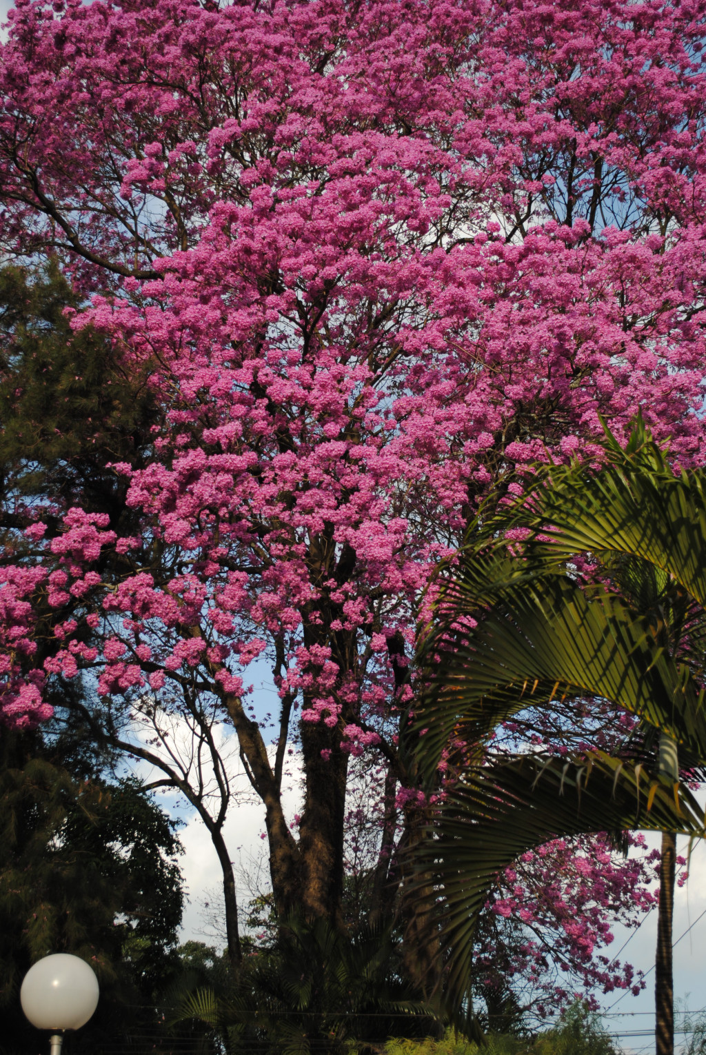 Cidades - Começa o inverno no Hemisfério Sul