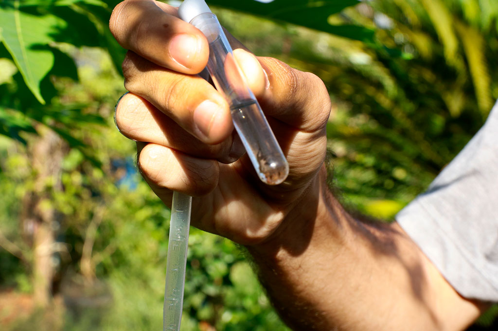 Saúde - Saúde confirma 8 casos de dengue 2 casos suspeitos de Chikungunya