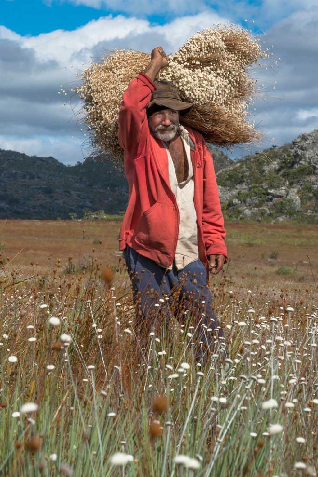 Cultura - Sesi SB apresenta exposição fotográfica “Cerrado”