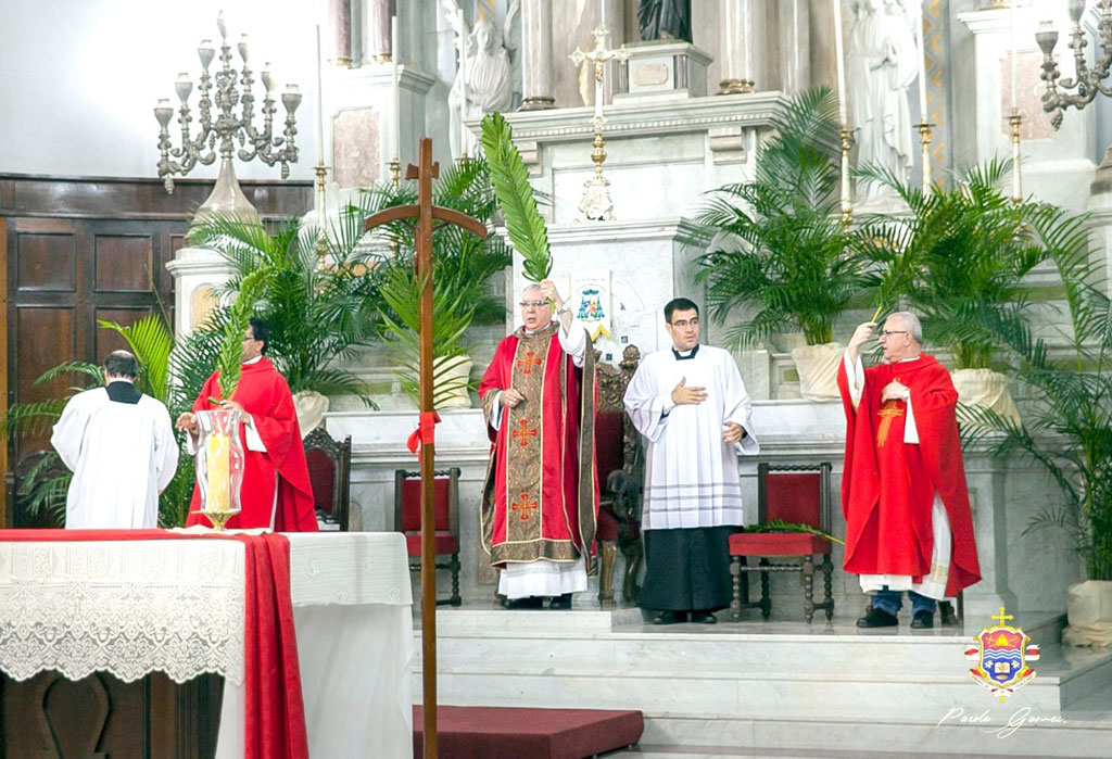 Foto Do Dia - Domingo de Ramos