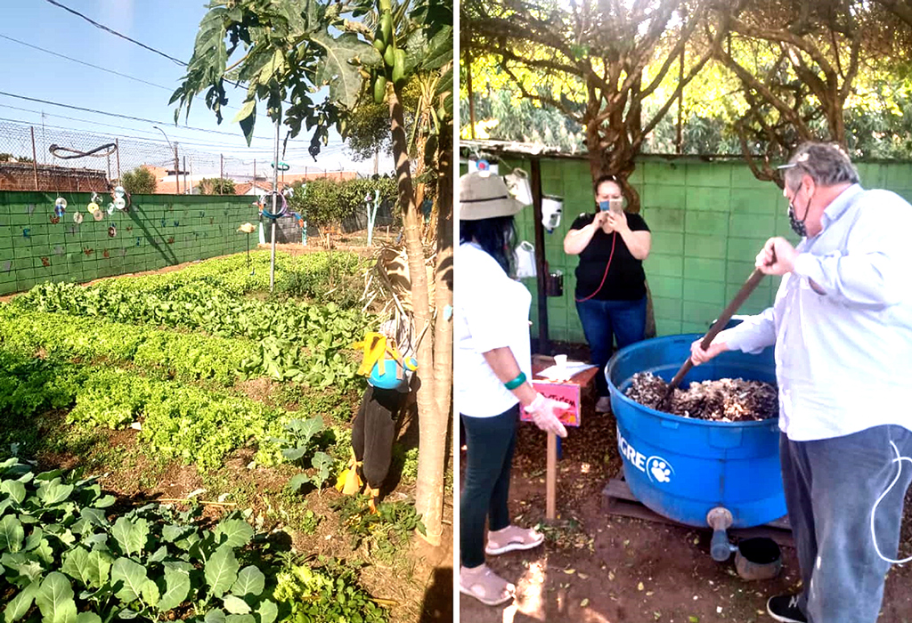 Foto Do Dia - Oficina de compostagem