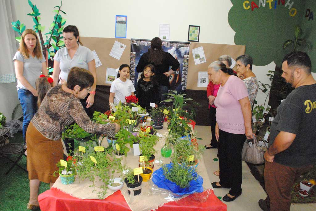 Educação - Feira Científico–Cultural do Colégio Ideal atrai comunidade e familiares