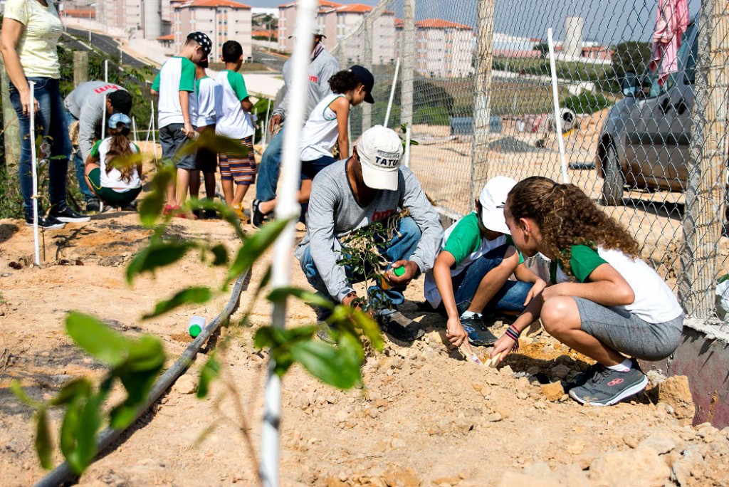 Educação - Semana da Árvore: alunos participam de plantio de mudas