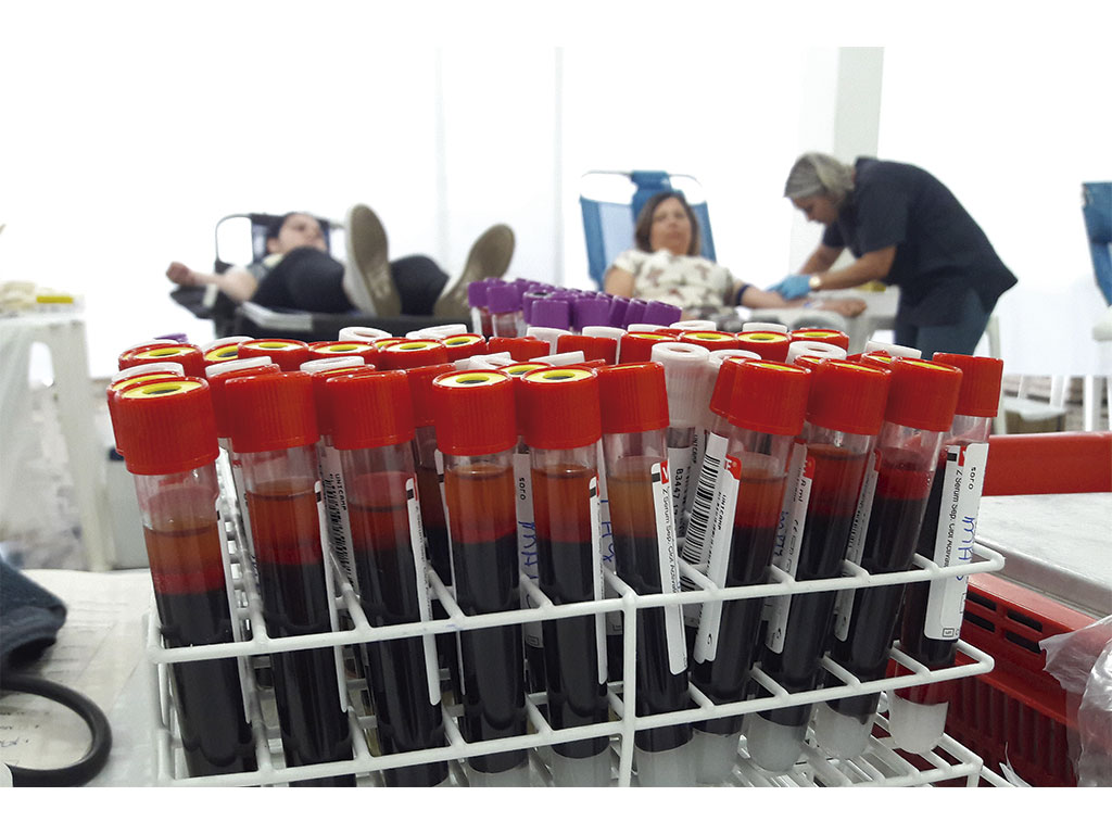 Saúde - Campanha de doação de sangue acontece amanhã 