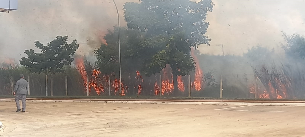 Cidades - Incêndio atinge área verde  ao lado do Rodoterminal