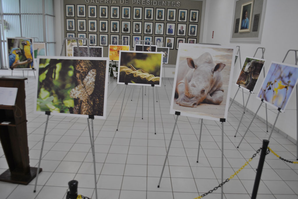 Foto Do Dia - Exposição Biosfera