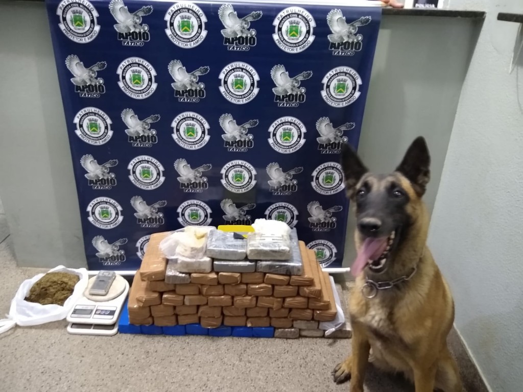 Polícia - Guarda localiza mais de 31 quilos de drogas