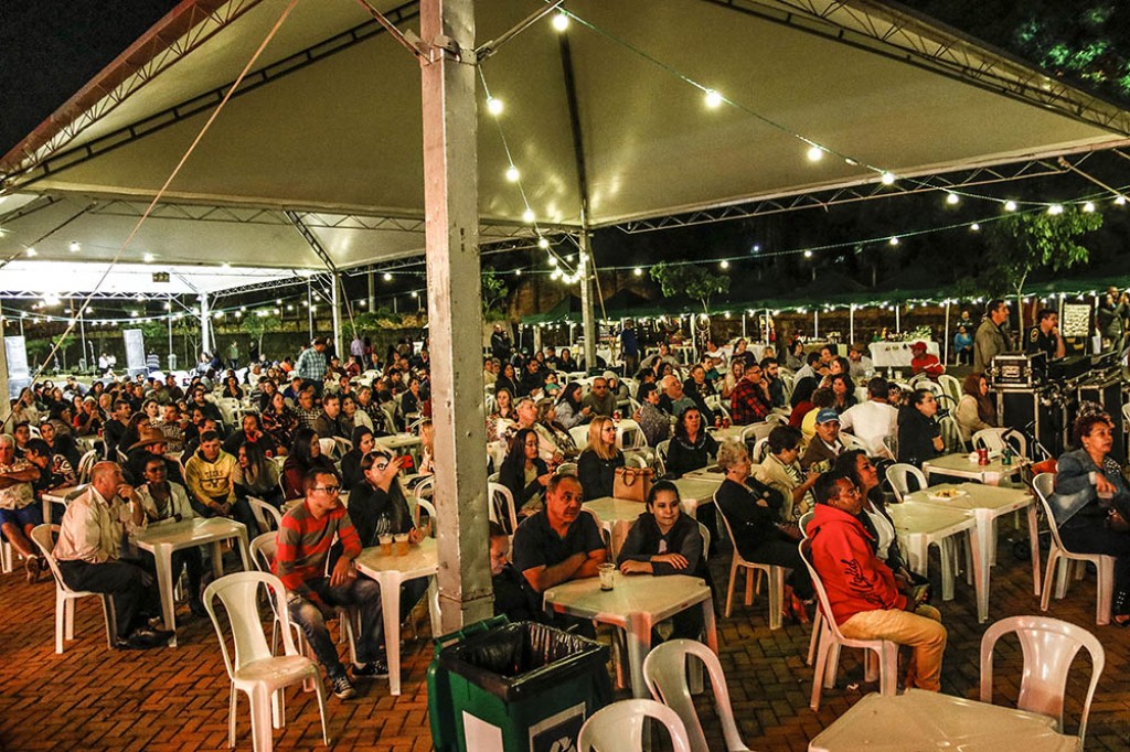 Cultura - Público prestigia 2º Encontro de Orquestras de Violas