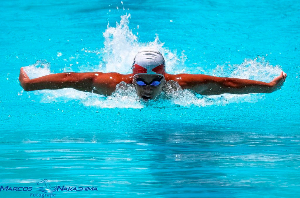 Esporte - Nadador barbarense termina ano como 1º do Ranking Brasileiro Infantil 