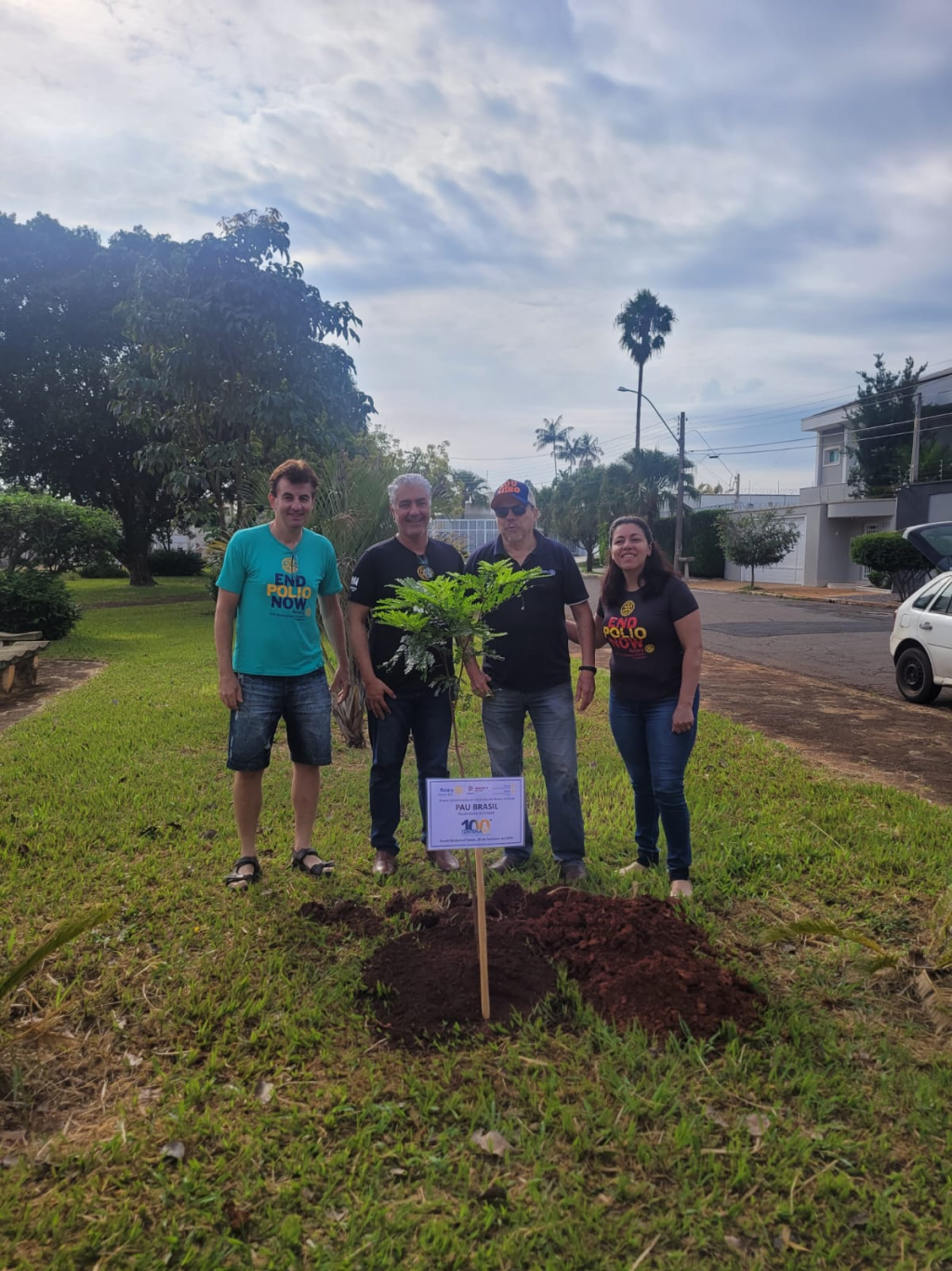 Cidades - Plantio de árvores em SB marca Centenário do Rotary no Brasil