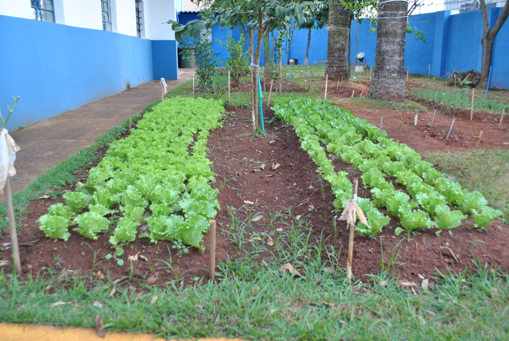 Foto Do Dia - Horta na Sesetran