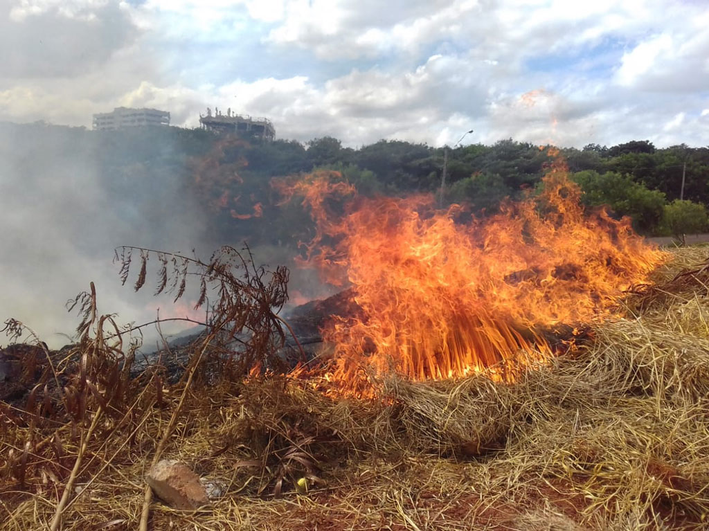 Política - Zona urbana: Proprietário poderá ser penalizado por queimada em terreno