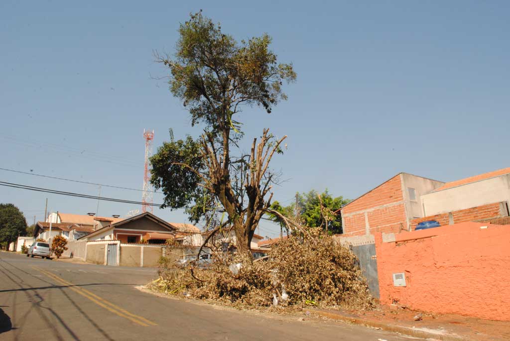 Foto Do Dia - Perigo