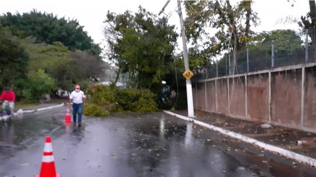 Chuvarada de quinta-feira provoca inúmeras quedas de árvore e deixa bairros  da capital sem energia - REDE JOTA FM