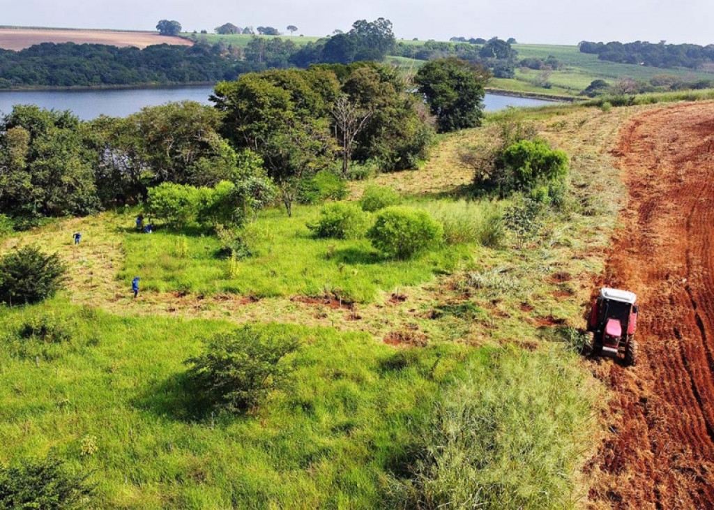 Cidades - DAE realiza plantio em mata da Represa Areia Branca