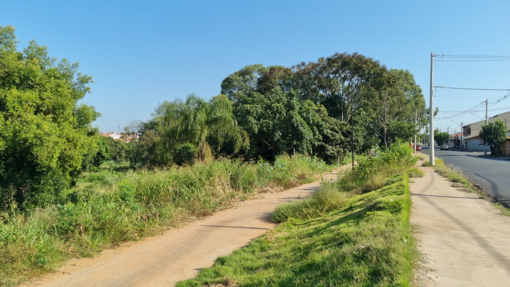 Cidades - Rotarianos de SB irão realizar plantio  comemorativo ao Centenário  do Rotary no Brasil