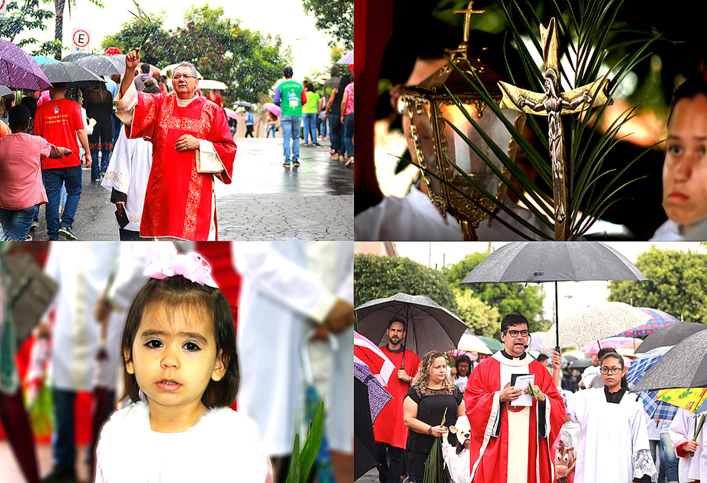 Foto Do Dia - Domingo de Ramos