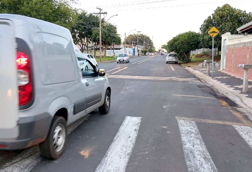 Foto Do Dia - Pedido de canteiro central