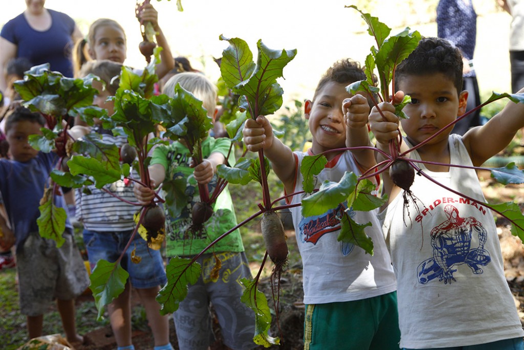 Educação - Crianças da EMEI Zinho Saes aprendem a plantar