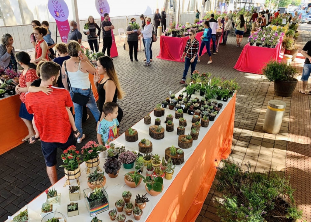 Cidades - Festival das Orquídeas: Cultura realiza credenciamento para expositores