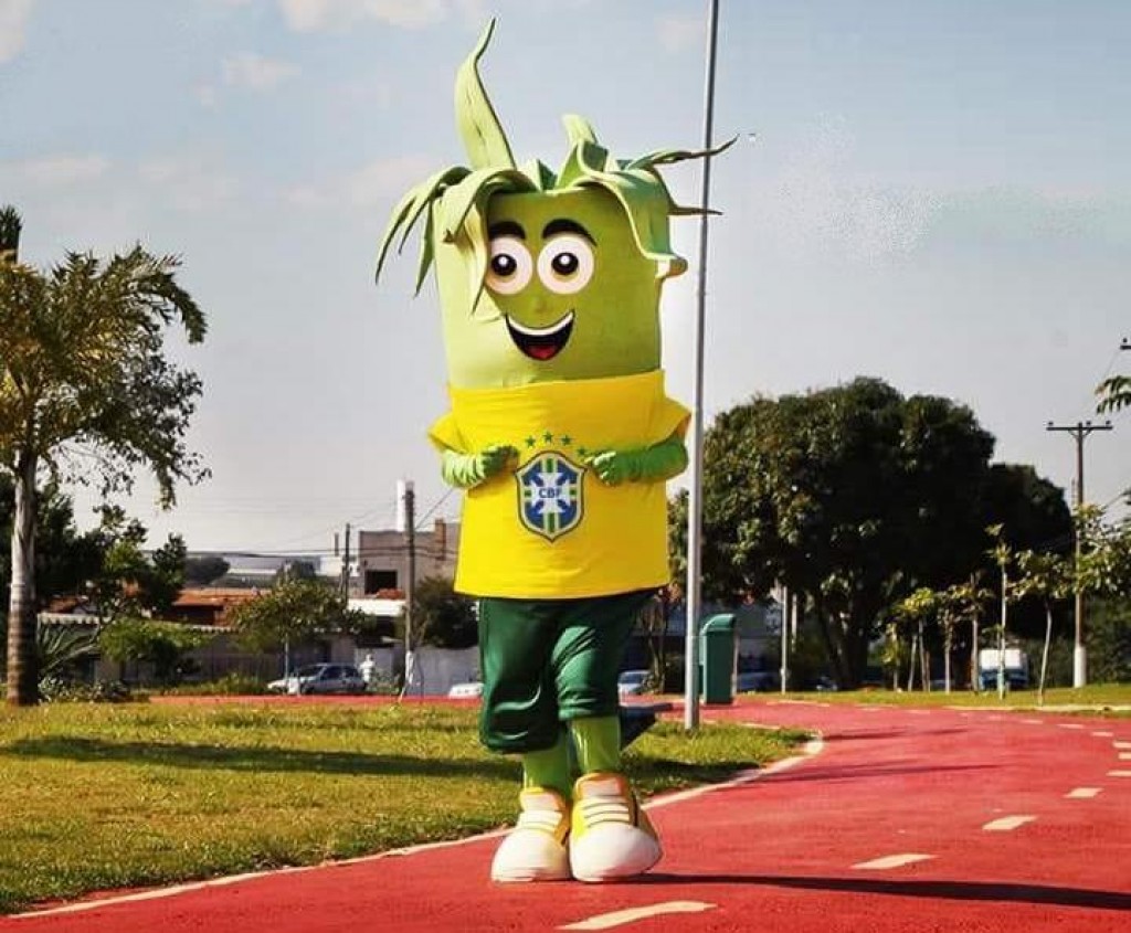 Foto Do Dia - Torcida barbarense